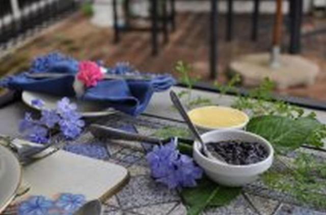 Plumbago Guest House