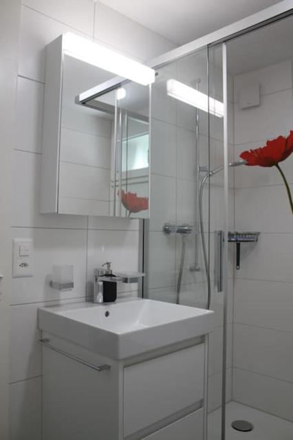 Lake Thun Apartment for max 3 Guests Ideal for Water Sports & Swiss Alps