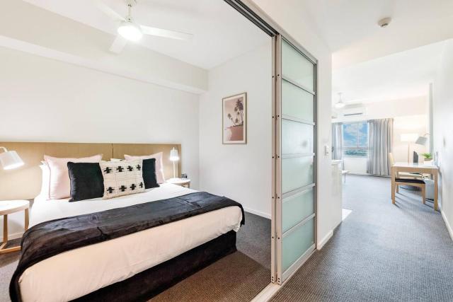 'Pure Synergy' Explore Darwin's Riches from Two Separate Apartments