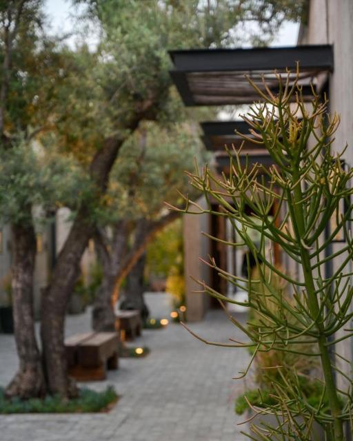 Hotel Andana Winery & Spa