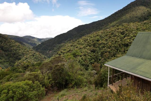 Quetzal Valley Cabins