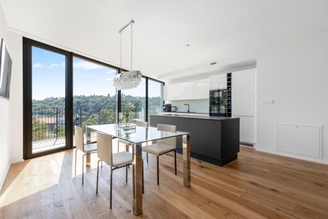 Luxury Penthouse Prague