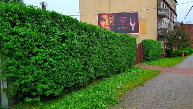 Apartament Park Śląski