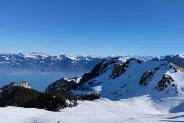 Studio Myrtilles du Léman vue sur lac et montagne