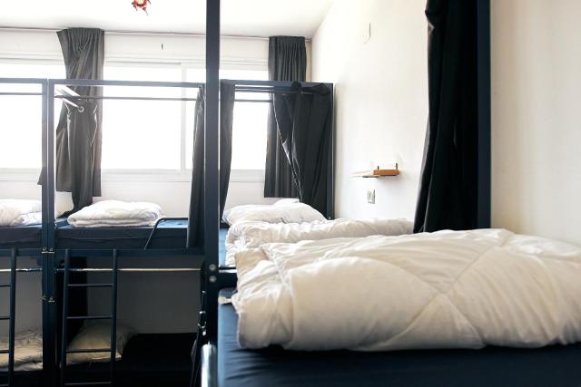 Jungle Jaffa Hostel Age 18 to 45
