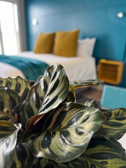Hermanus Waterfront Apartment no 17