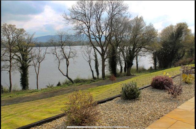 Bluebell lake house