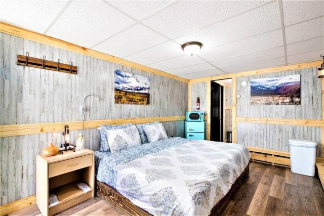 9 Newly Renovated Dog Friendly Room Leadville