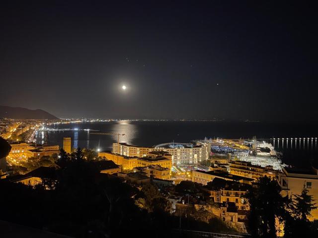 Villa Poseidon -Boutique Hotel-