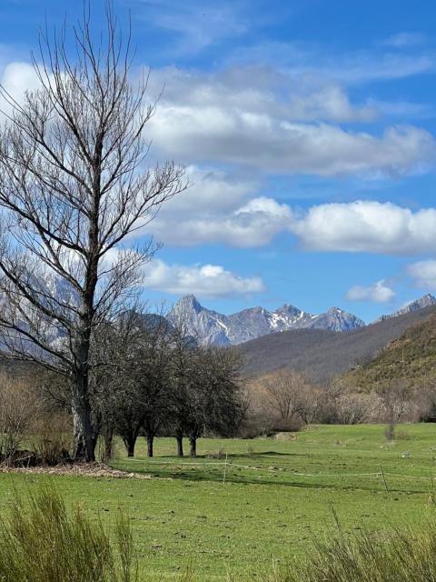 Tierra de la Reina