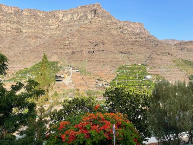 Cycling Holiday, 11 km from Arguineguín