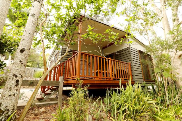 Mt Warning Rainforest Park