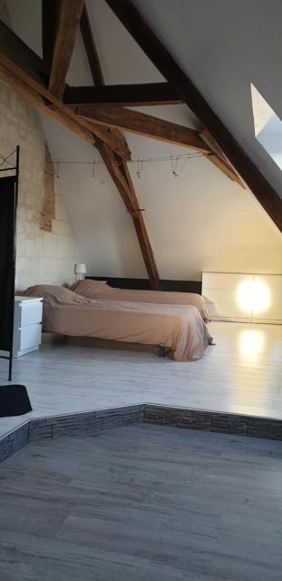 Bourgueil - Grand appartement proche CNPE Chinon