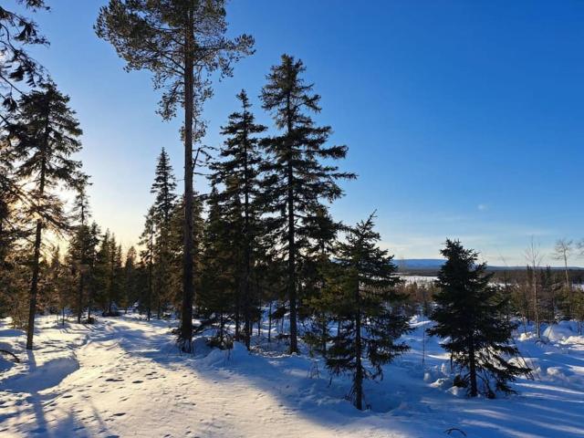 Lapland Cabin Levi