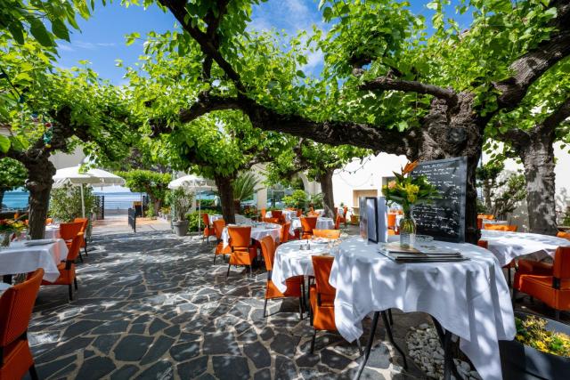 Logis Hôtel le Provencal Rest les Mûriers