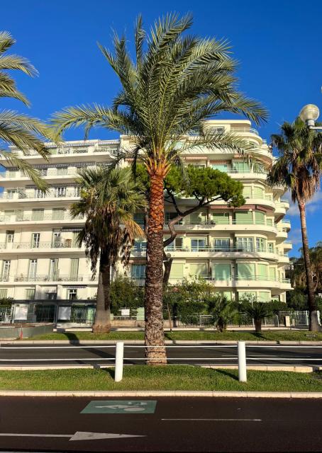 NICE 115 BY THE SEA