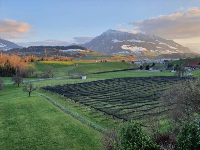 Apartment in Swiss Chalet Träumli