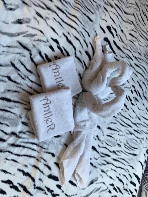 Hotel Antler