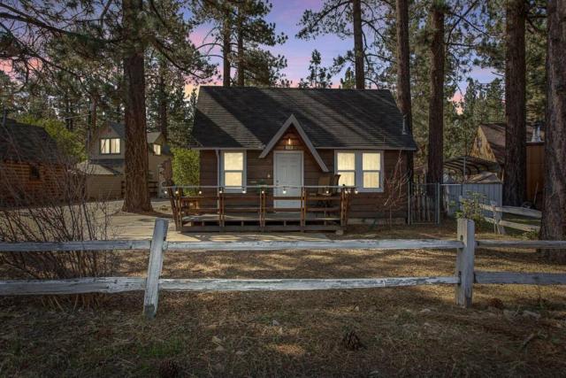 Bear Sky Cabin
