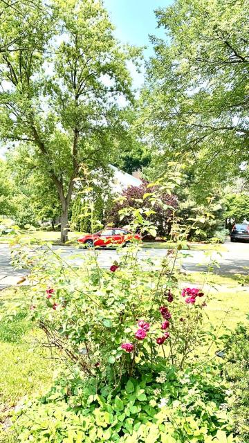 B4 A private room in Naperville downtown with desk and Wi-Fi near everything