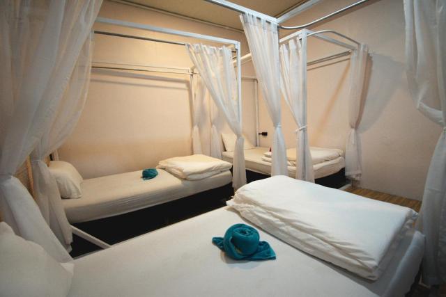 Chillax Khaosok Hostel - SHA Certified