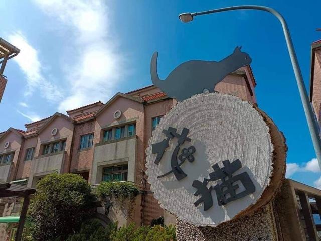 鴨子民宿-花貓