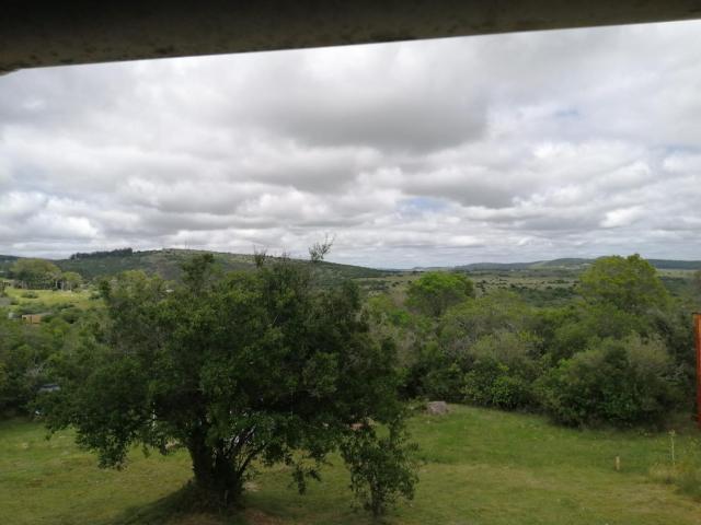 Cabaña Jacarandá