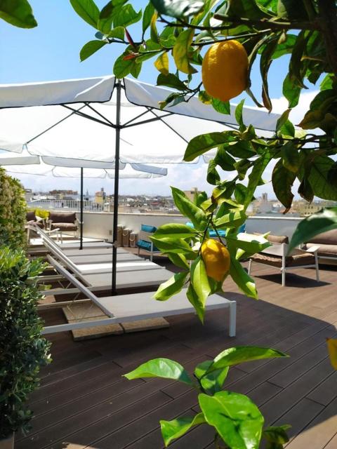 DOGANA RESORT