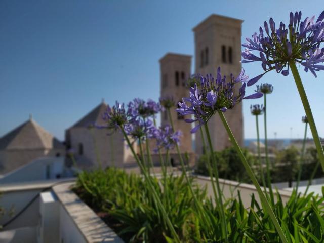 DOGANA RESORT