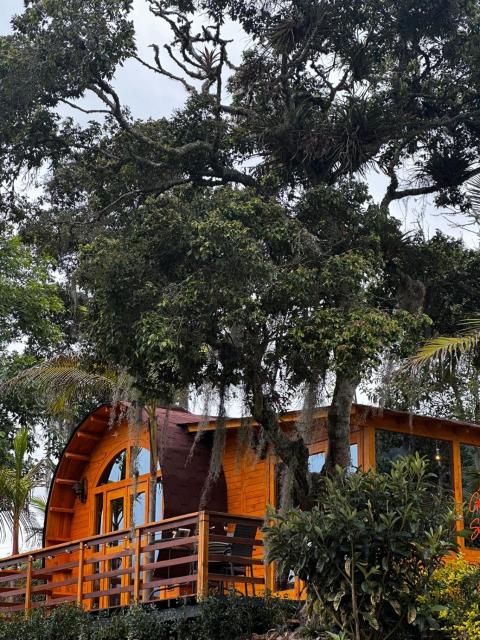 Glamping Shalom