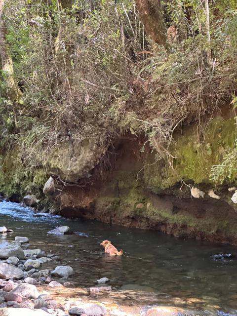 Glamping Rio Sur