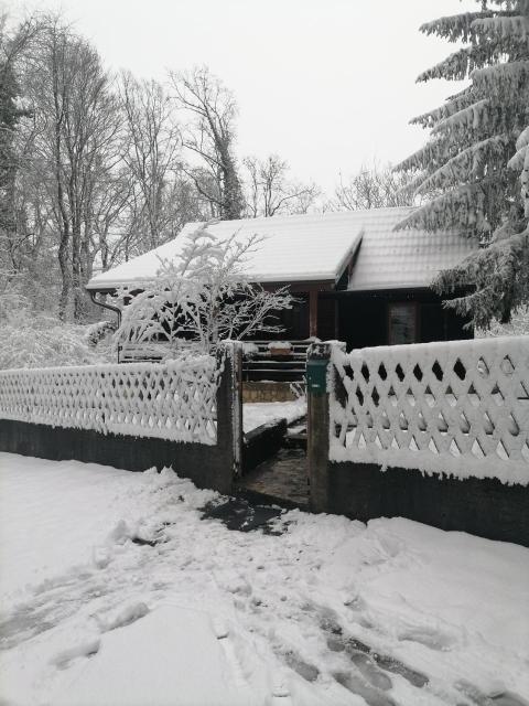 Cabin In The Woods Vukelic