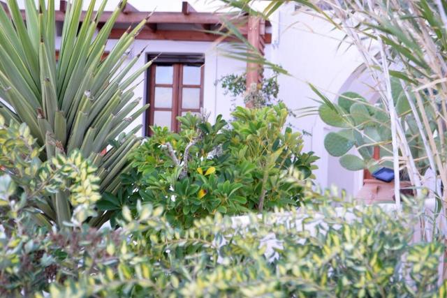 Absolute peace north villa by the volcanic slopes