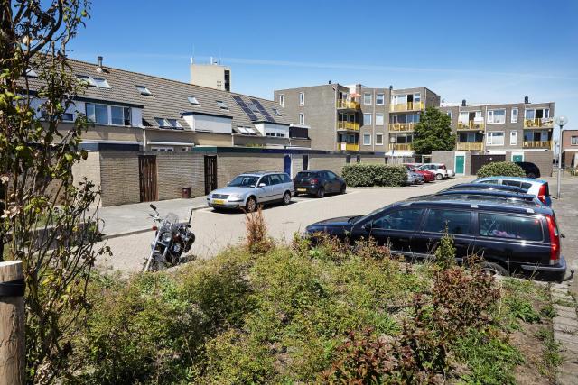 Het Krekeltje
