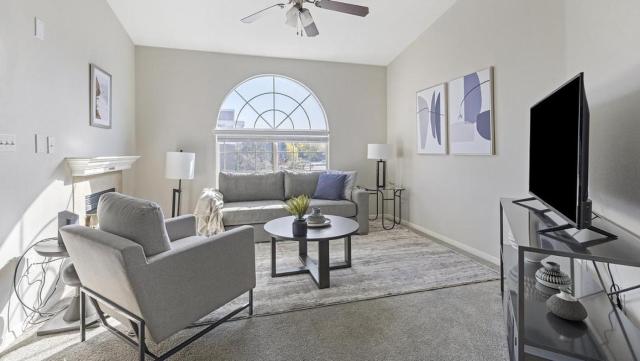 Landing Modern Apartment with Amazing Amenities (ID7793X62)