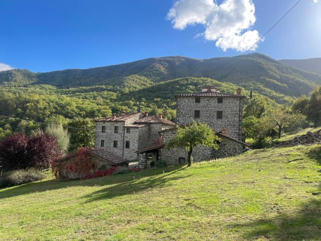 Bio Agriturismo Il Vigno - Pool Sauna Nature - Farm To Table Food - Wild Tuscan countryside - Adults Only - Your Place to Breathe