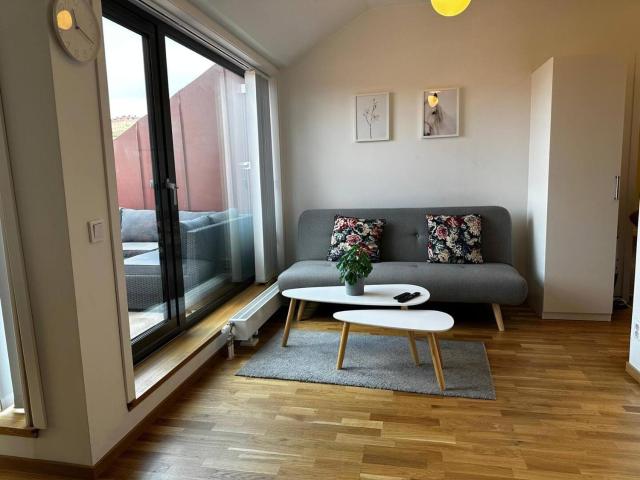 Luxury Apartment With Private Terrace
