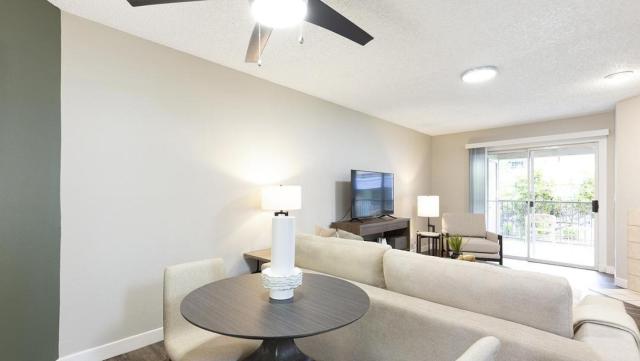 Landing - Modern Apartment with Amazing Amenities (ID9191X01)