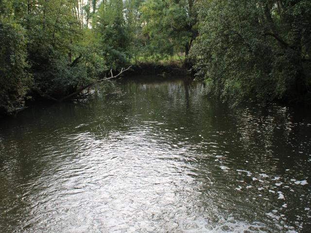 Gîte indépendant au bord de la rivière, cadre historique, pêche, animaux bienvenus, parking privé - FR-1-586-22