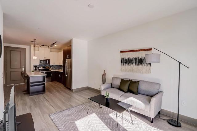 Modern CozySuites on the Town Lake waterfront 18