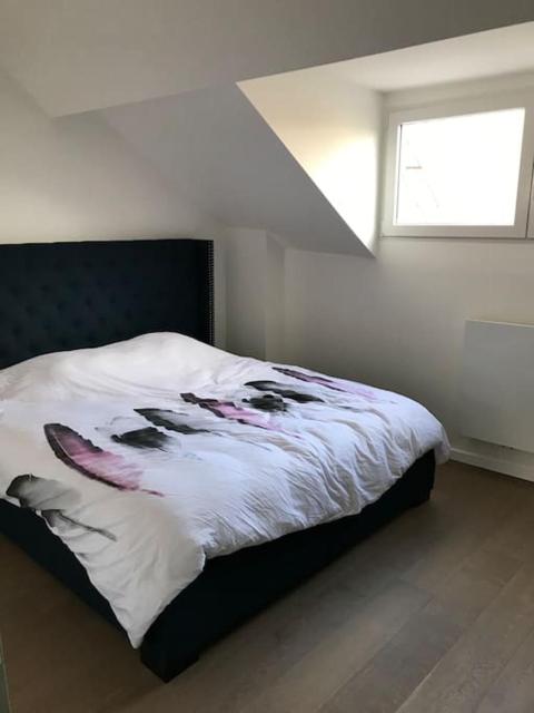 Duplex avec terrasse quartier européen