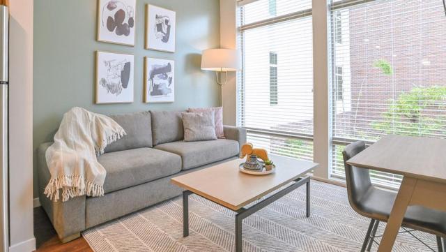 Landing Modern Apartment with Amazing Amenities (ID8092X98)