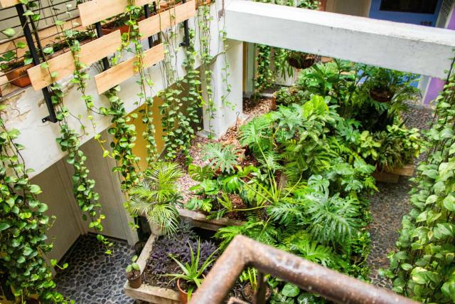 Green Hotel Natural Medellin