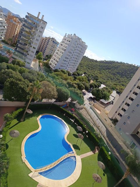 EL SEPTIMO DE LA CALA