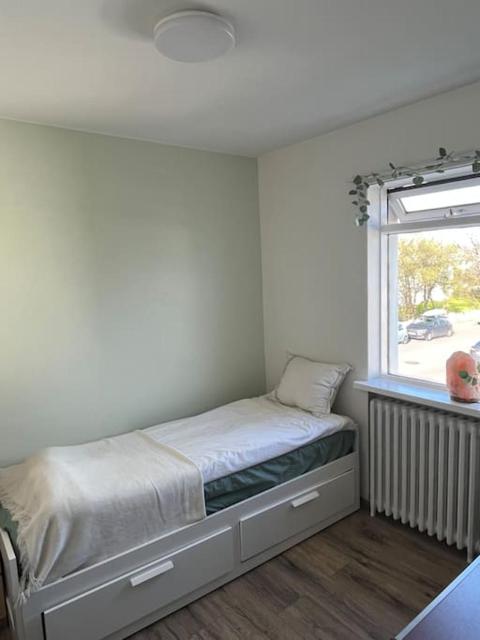 Cozy apartment near downtown Reykjavik