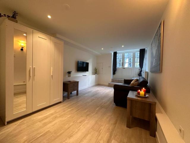 Tulip House Luxury Apartment - Top Location - Rijksmuseum - Leidseplein AMSTERDAM Central 120 m2 ALL Private with kitchen