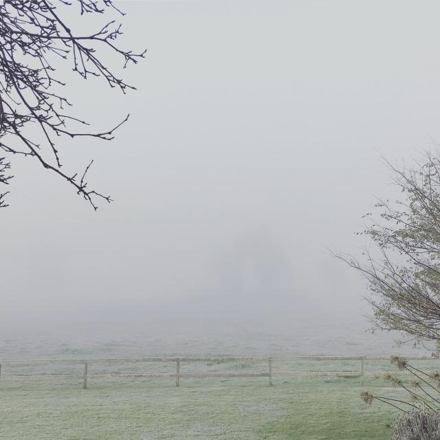 Myrtlemae Farm