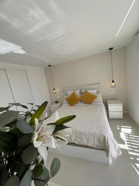 Luxury Bonanza