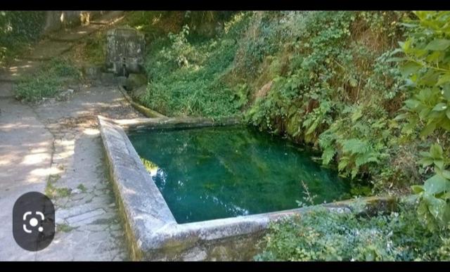 PISO DEL PARQUE 2