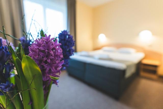 ARIBĖ Hotel Klaipėda, Free parking